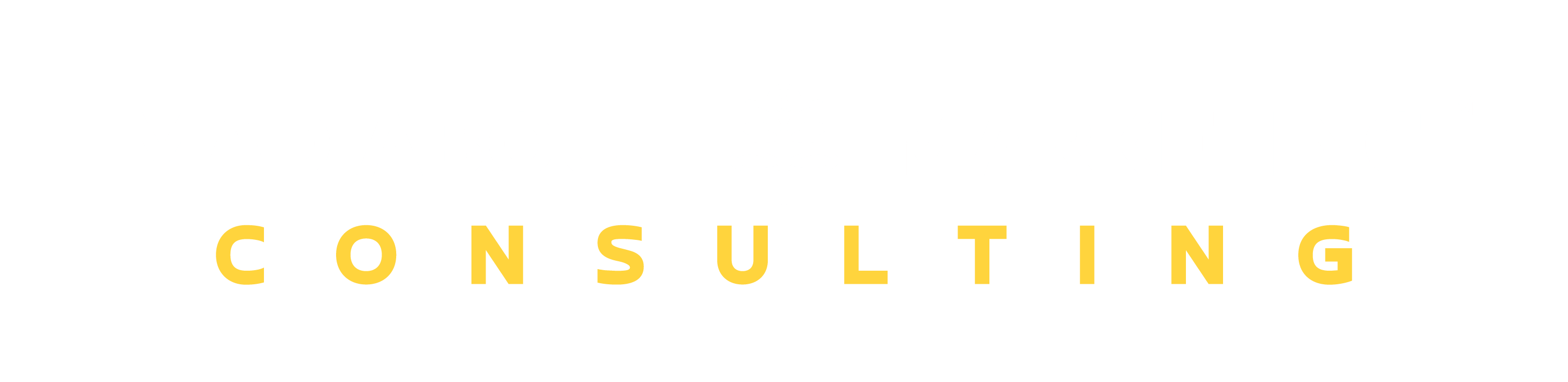 AI Maturity Index